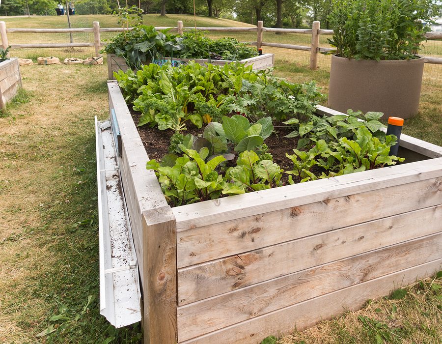 Senior Care in Braselton GA: Raised Bed Gardening